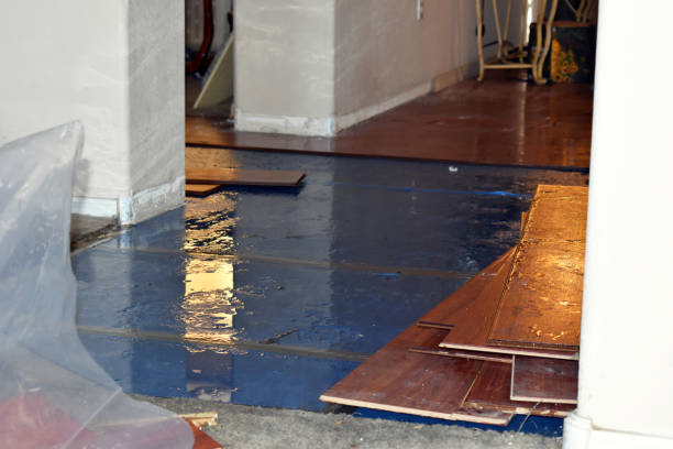 Professional Basement Flood Cleanup technician working in West Milton, OH